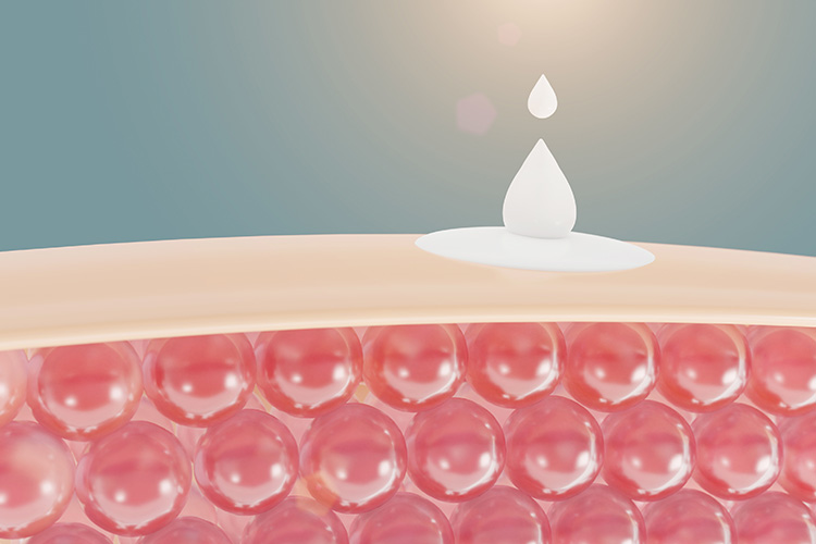 What is the Skin Barrier and How is it Repaired?